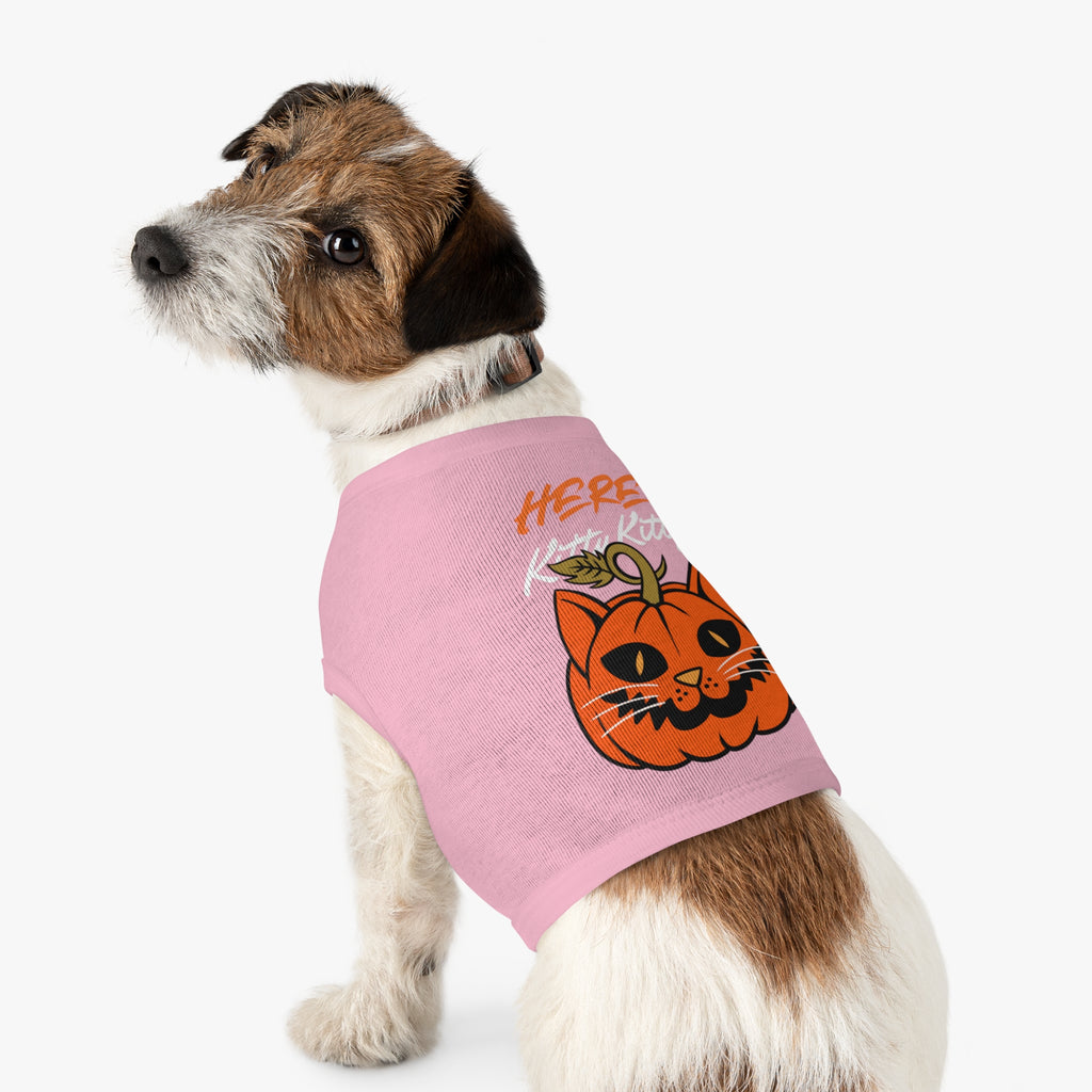 Here Kitty Kitty Pumpkin Pet Tank Top — Halloween Cat Costume Tee for Dogs & Cats