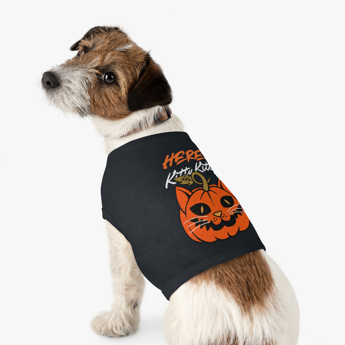 Here Kitty Kitty Pumpkin Pet Tank Top — Halloween Cat Costume Tee for Dogs & Cats