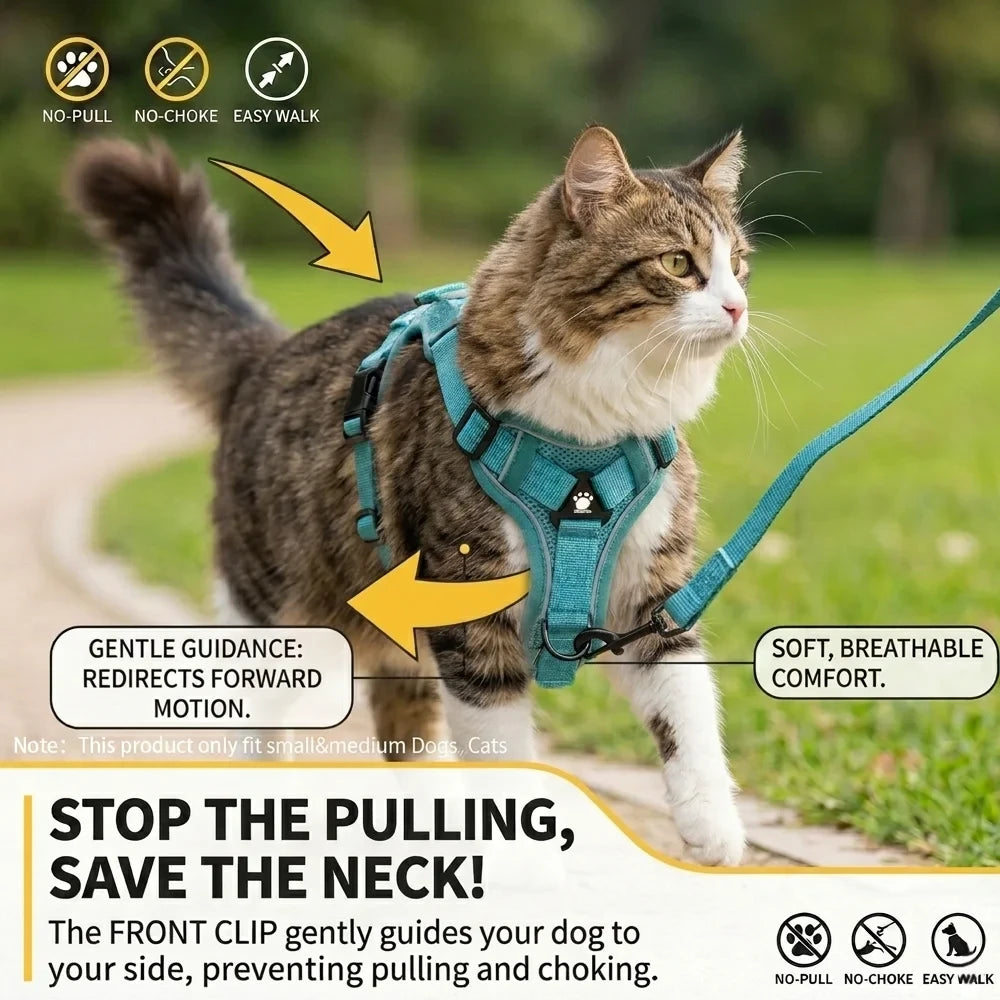 Reflective Breathable Cat Harness