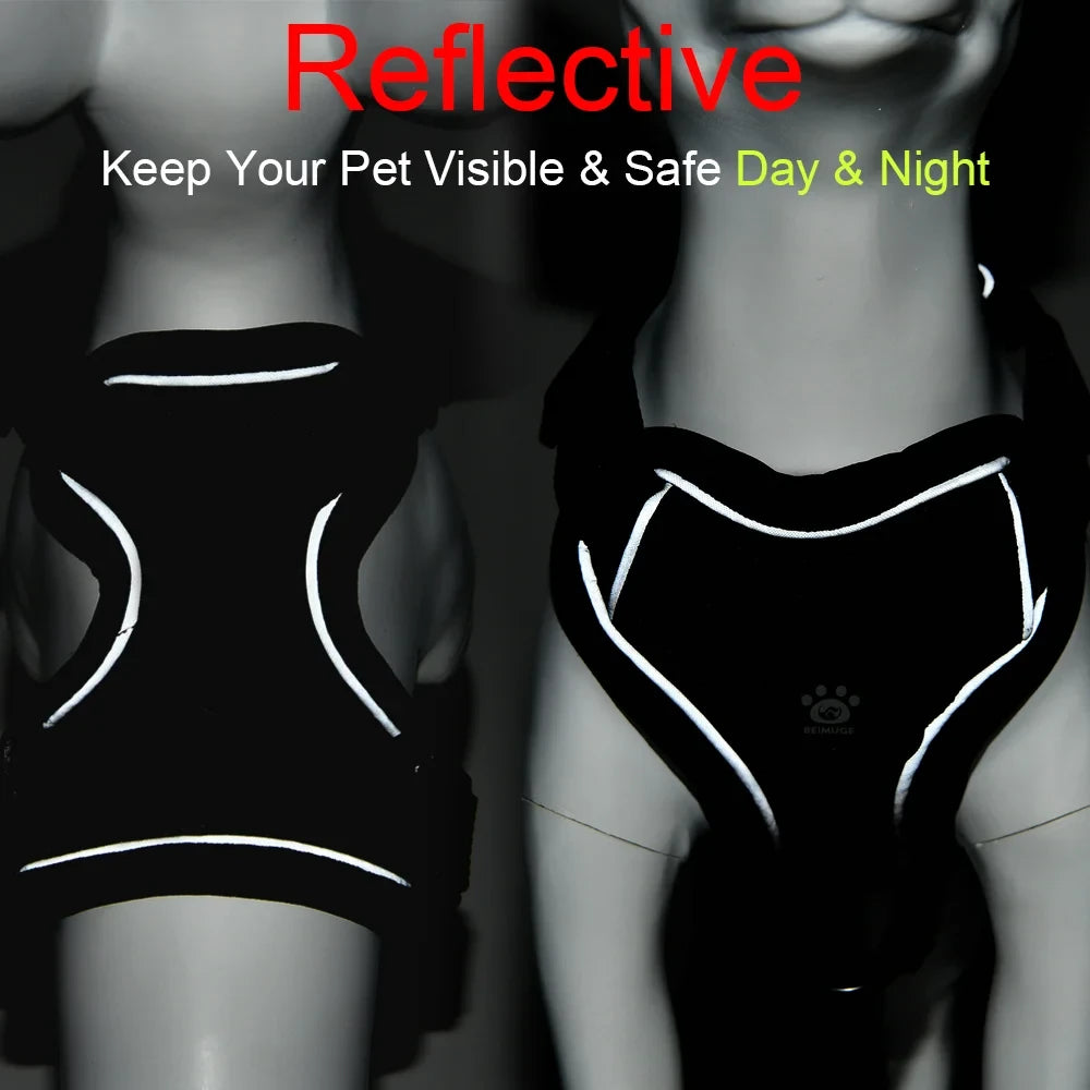 Reflective Breathable Cat Harness