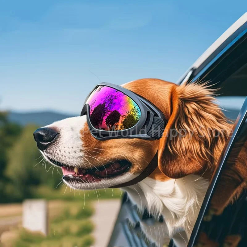 Soft Adjustable Dog Sunglasses