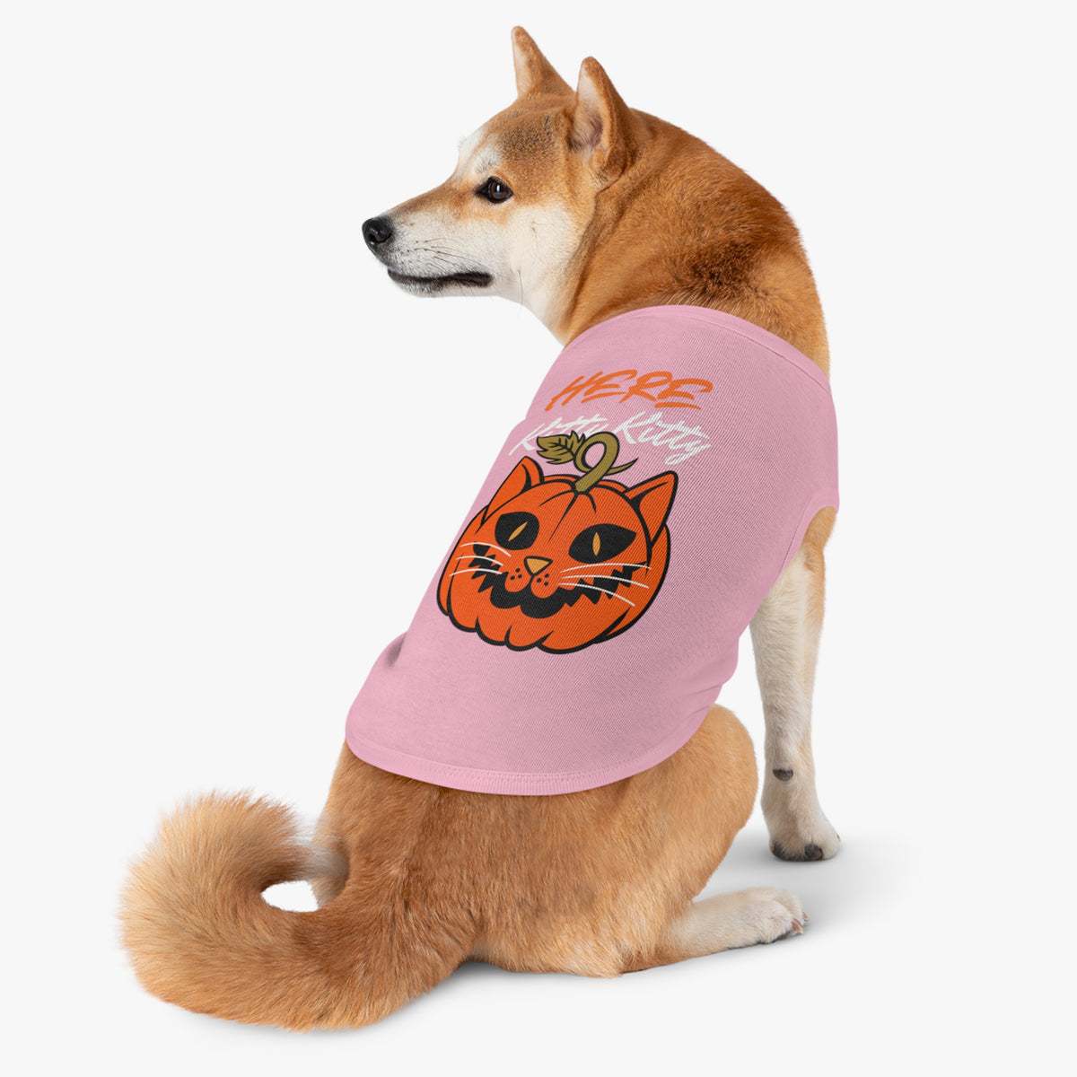 Here Kitty Kitty Pumpkin Pet Tank Top — Halloween Cat Costume Tee for Dogs & Cats