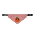 Halloween Cat Pumpkin Clip-On Pet Bandana — Spooky Orange Jack-O'-Lantern Collar Accessory