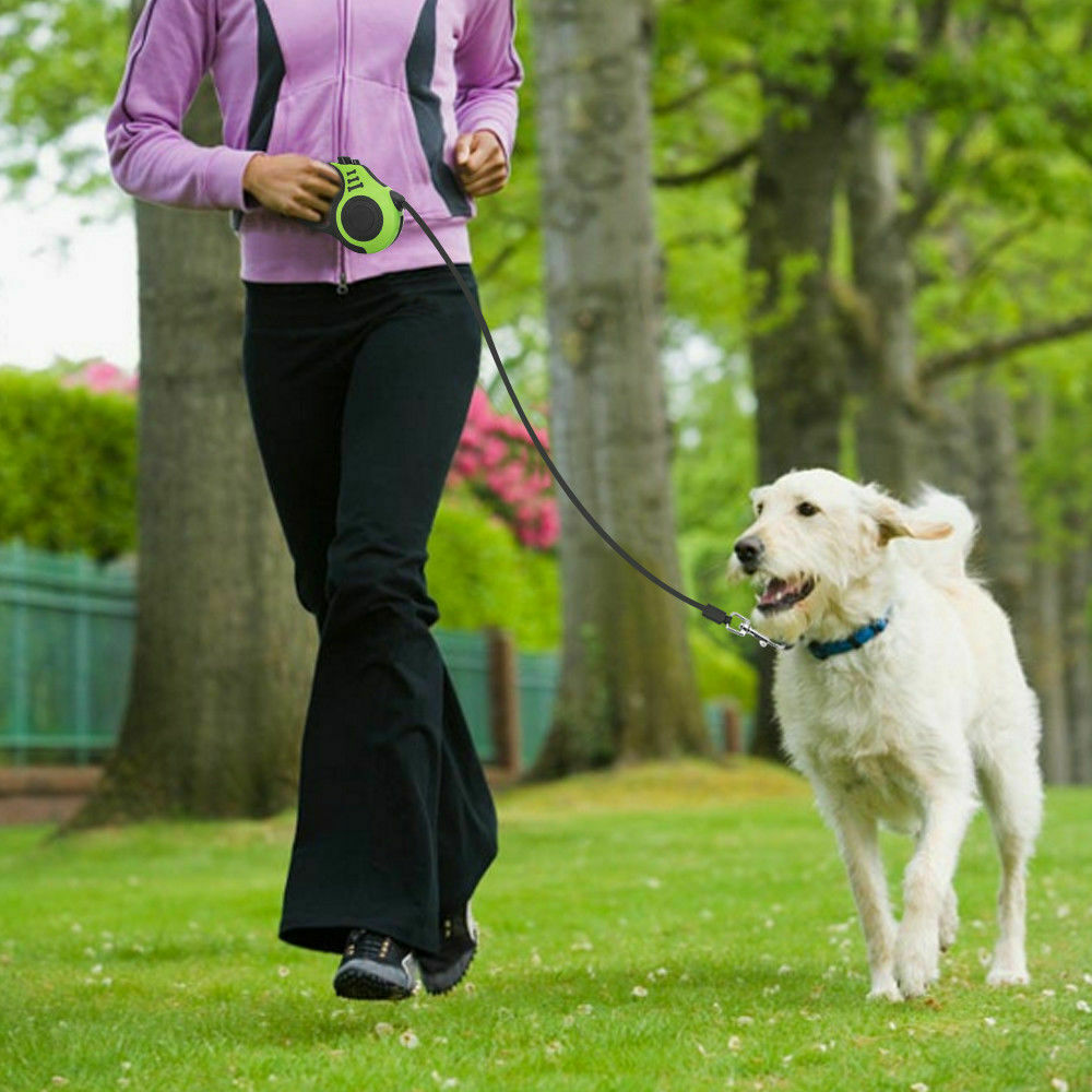 Automatic Retractable Dog Leash Pet Collar Automatic Walking,16.5FT