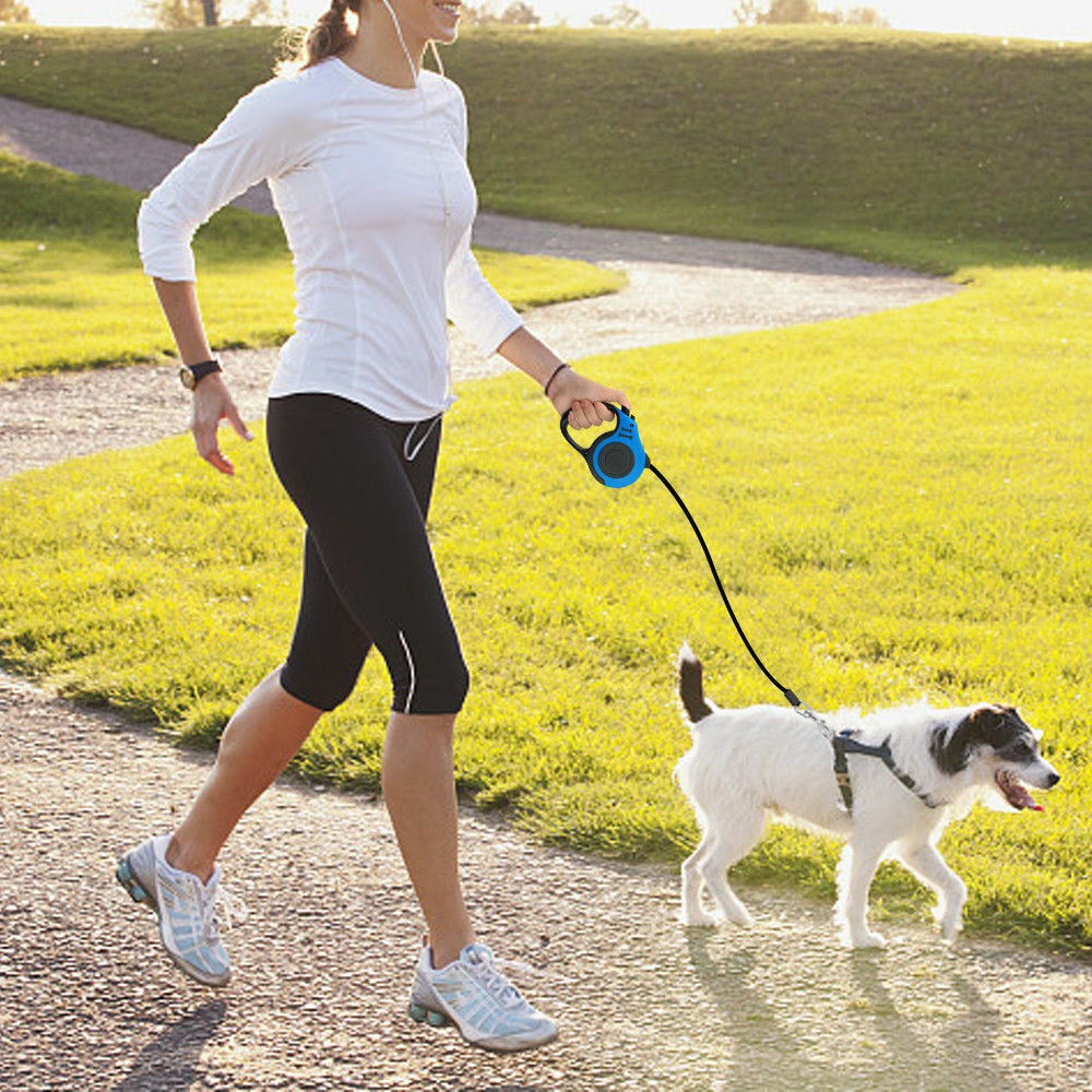 Automatic Retractable Dog Leash Pet Collar Automatic Walking,16.5FT