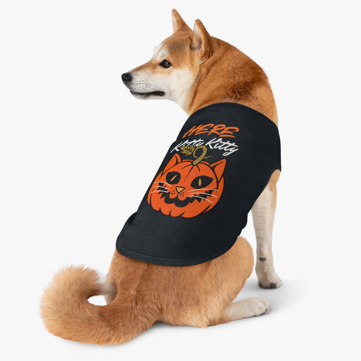 Here Kitty Kitty Pumpkin Pet Tank Top — Halloween Cat Costume Tee for Dogs & Cats