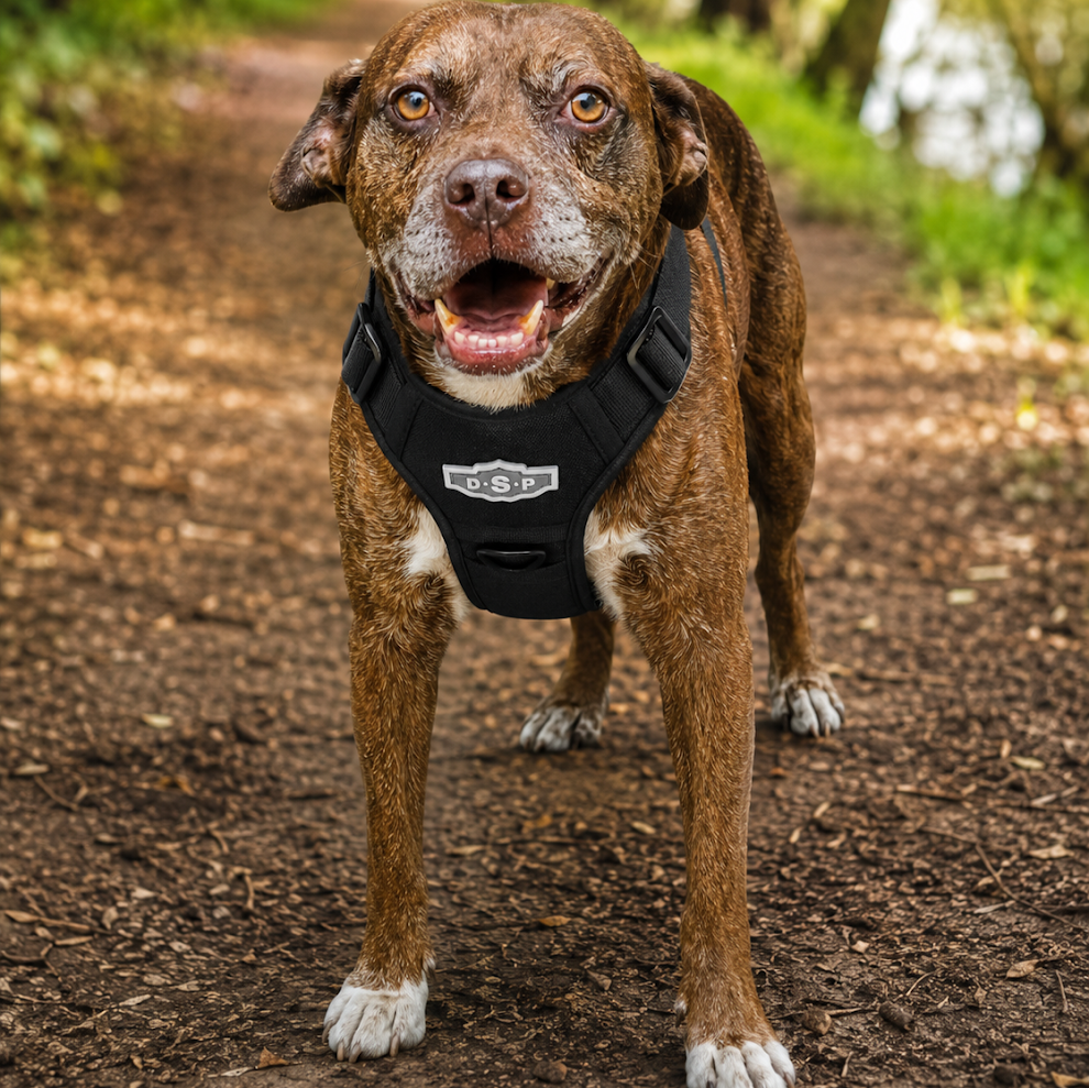 Slip-n-Clip® Professional Tactical Dog Harness with Integrated Retractable Leash