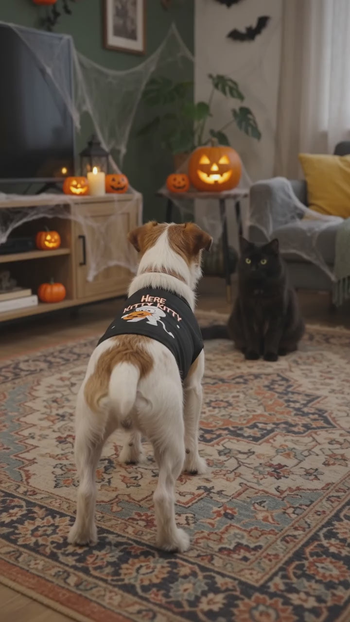 Mummy Cat Halloween Pet Tank – "Here Kitty Kitty" Pumpkin Costume Top